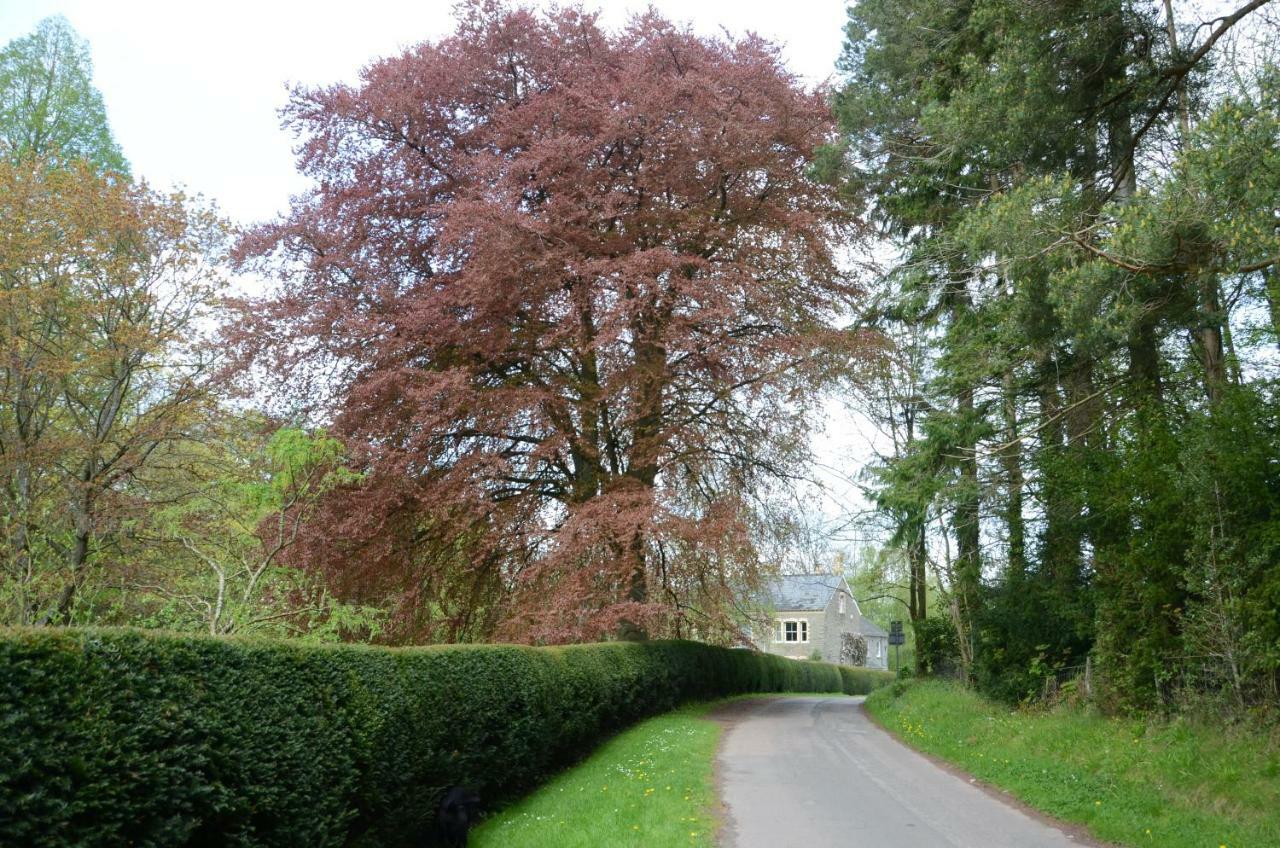 Rosedale Retreat Bed And Breakfast Hay-On-Wye Bagian luar foto
